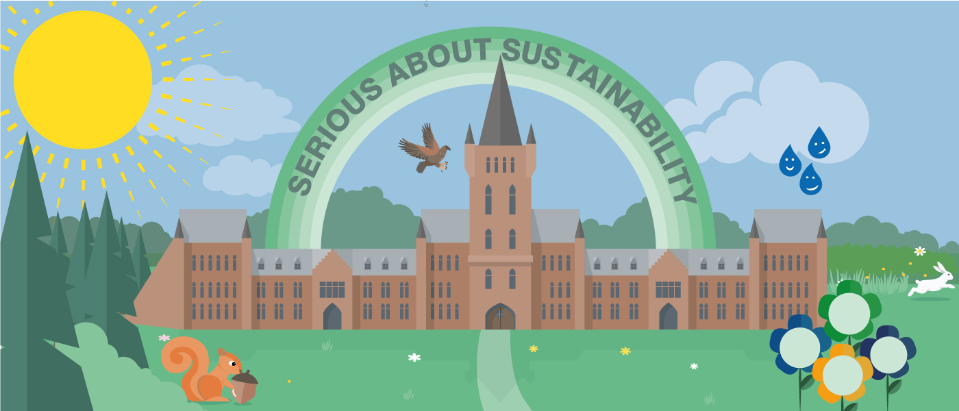 SDG infographic