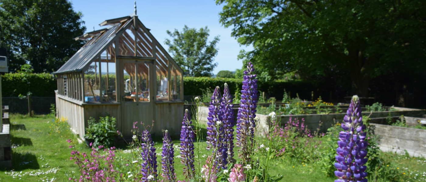 Dumfries' teaching garden