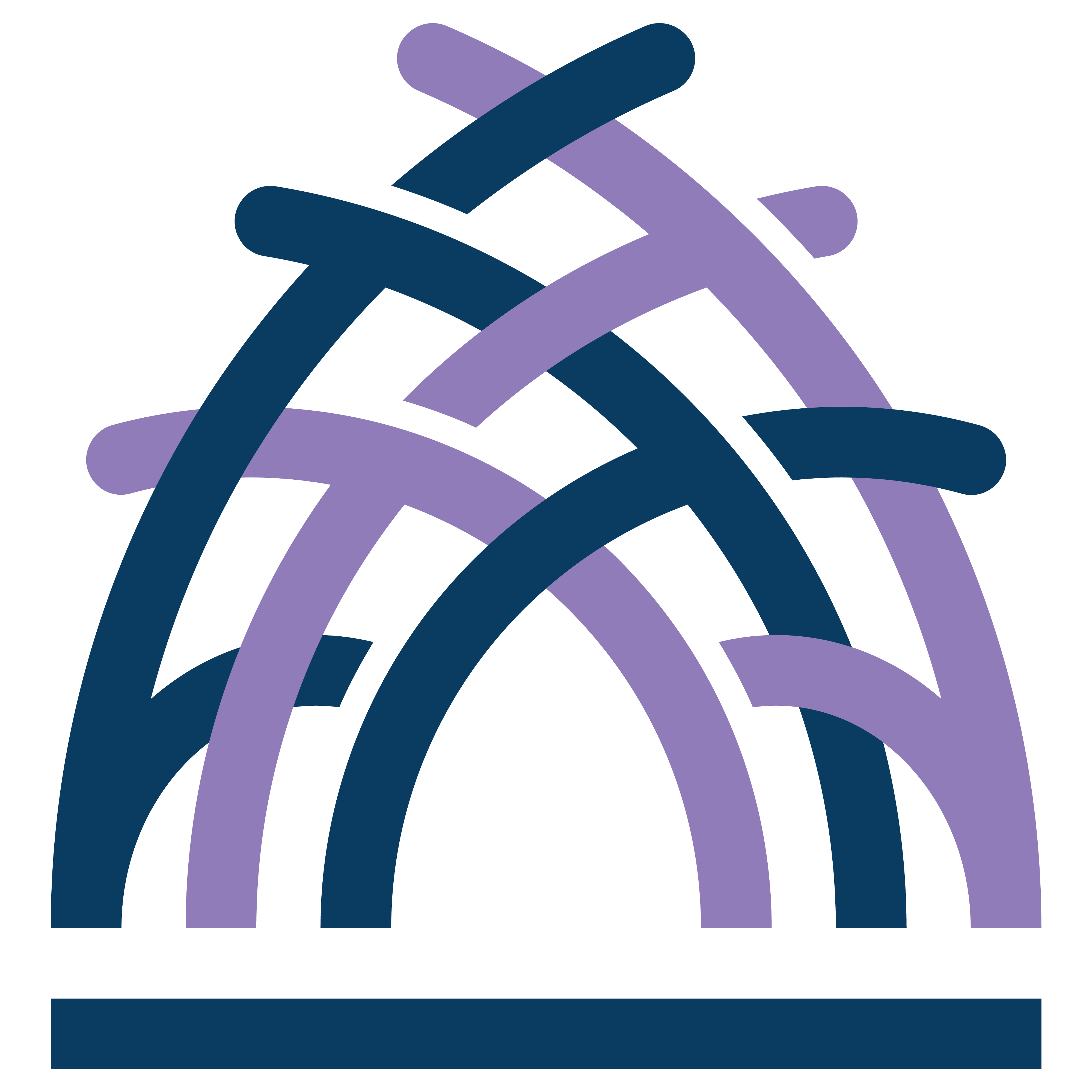 Centre for Public Policy logo