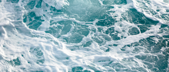 Open day and aquaculture banner - waves