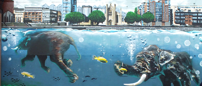 elephants swimming in a city river