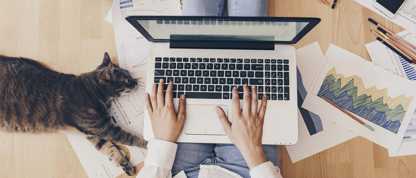 Working from home with a pet