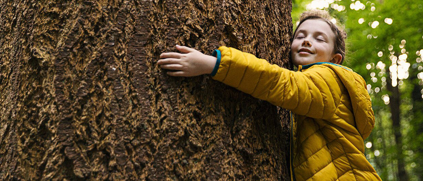 A child hugging a tree