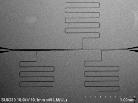 SEM image of Ta CPW resonators