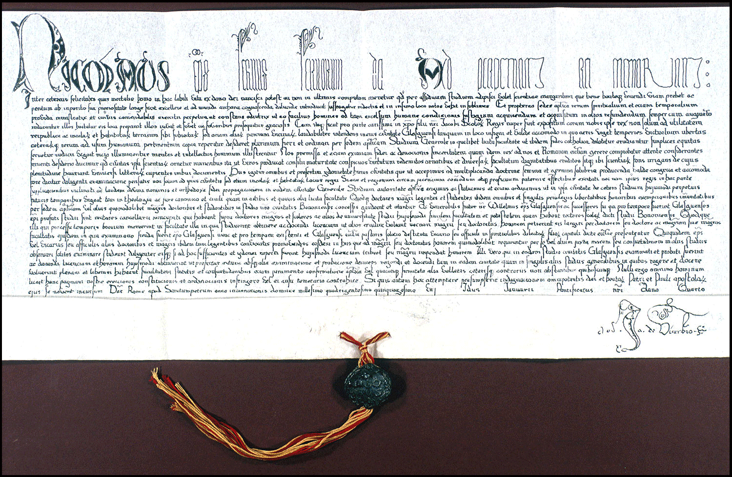 Papa bull image  for the university of glasgow