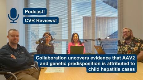 A group of four people sit at a table in a recording studio setup, each with a microphone in front of them. Laptops, papers, and audio equipment are on the table. Behind them, large windows with blinds let in natural light. Text on the image reads “Podcast! CVR Reviews!” and “Collaboration uncovers evidence that AAV2 and genetic predisposition is attributed to child hepatitis cases.”