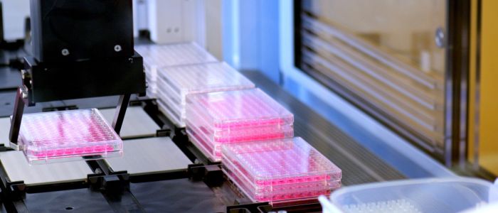 Stacks of lab trays filled with bright pink samples sit on an automated platform inside laboratory equipment.