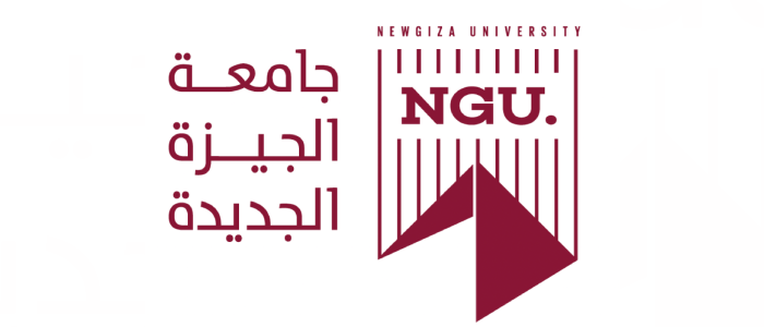 NGU University Logo