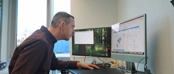 Person seated at a desk leaning toward two monitors, one showing a forest wallpaper and the other displaying computational data and charts.