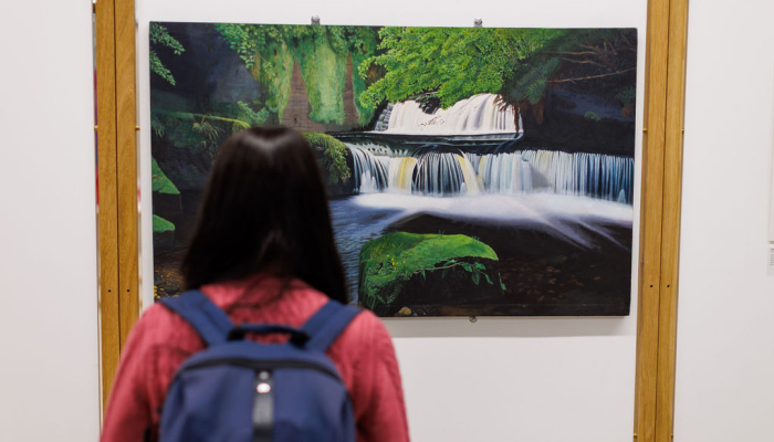 A visitor views an artwork of a waterfall in the ARC