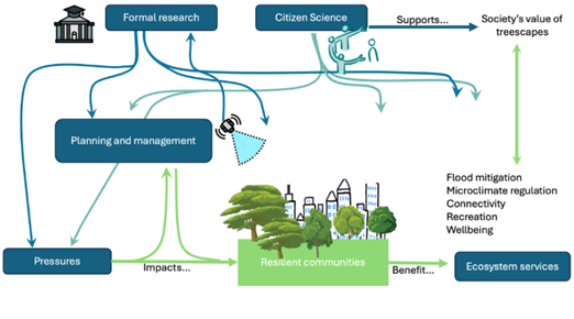 Systems approach diagram showing how formal research and citizen sciences in combination help better understand environmental pressures that impact policy and management, fostering the development of resilient communities, whilst supporting a better appreciation of treescapes and their associated ESS.