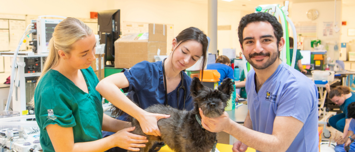 Small Animal Hospital Group Picture