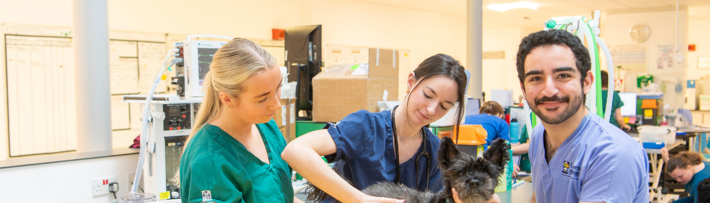 Small Animal Hospital Group Picture for Story
