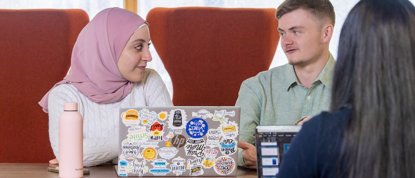 Two students studying in the library, looking at a computer