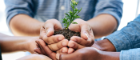 Team of colleagues holding a plant