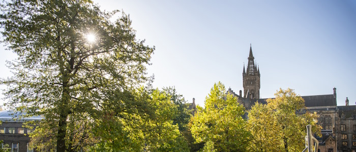 University of Glasgow tower and sunlight through trees