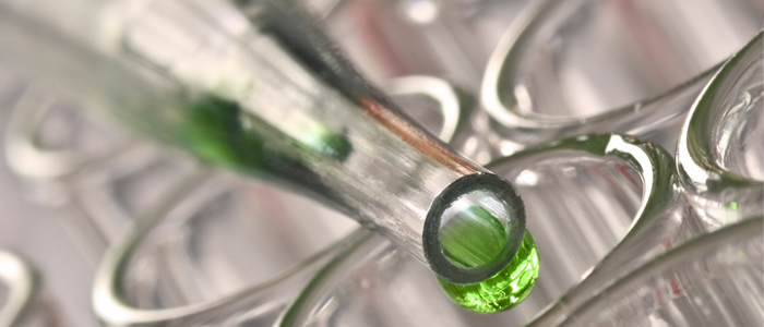 How to apply - image of petri dishes