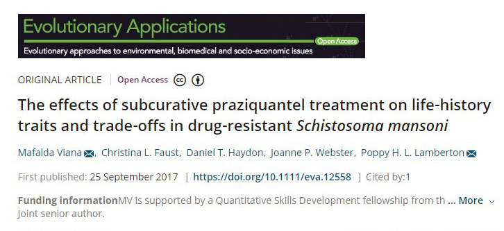 Screenshot of the title page of an academic paper