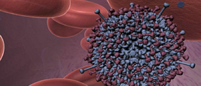 Image of 3D blood cells and adenovirus structure