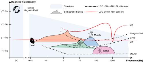 Comparison of magnetic signals produced by various sources of the human body, with limits of detection of several sensor types