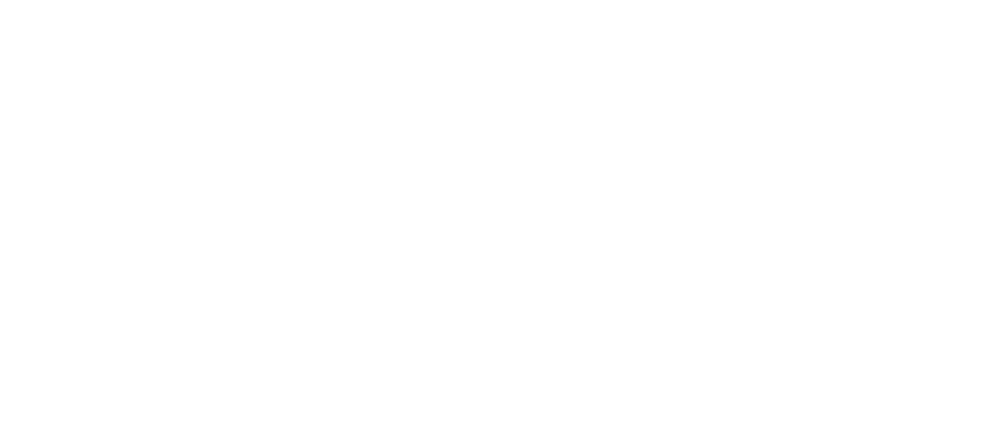 Connectivity icon