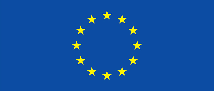European Union flag