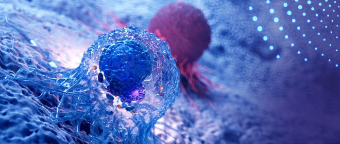 Prostate Cancer cells