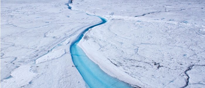 arctic scene