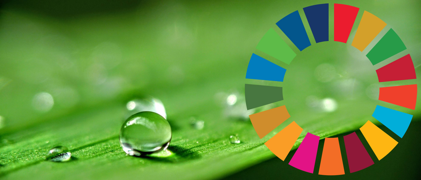 UN SDG wheel with background