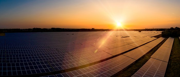Modern solar farm panoramic at sunrise on a summers day