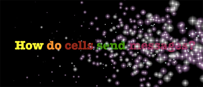 How Do Cells Send Signals