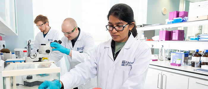 Students working in chemistry research lab