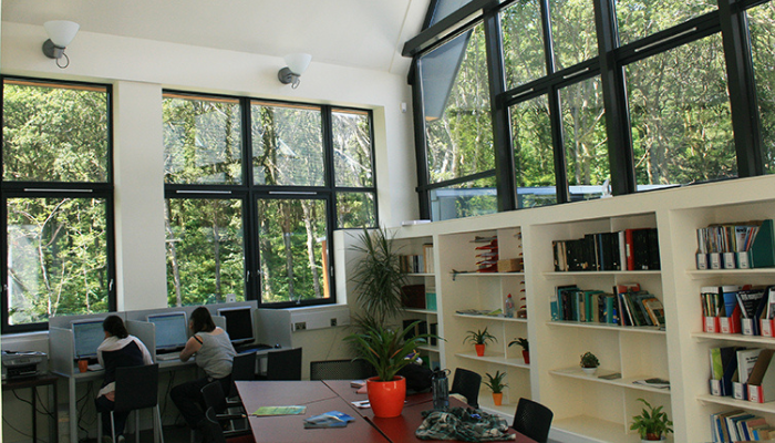 student working at a computer surrounded by bookshelves with wide windows looking out onto the forest at Loch Lomond
