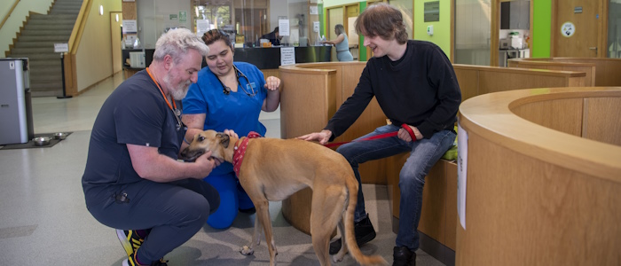 A dog, owner and 2 vets in the Small Animal Hospital reception