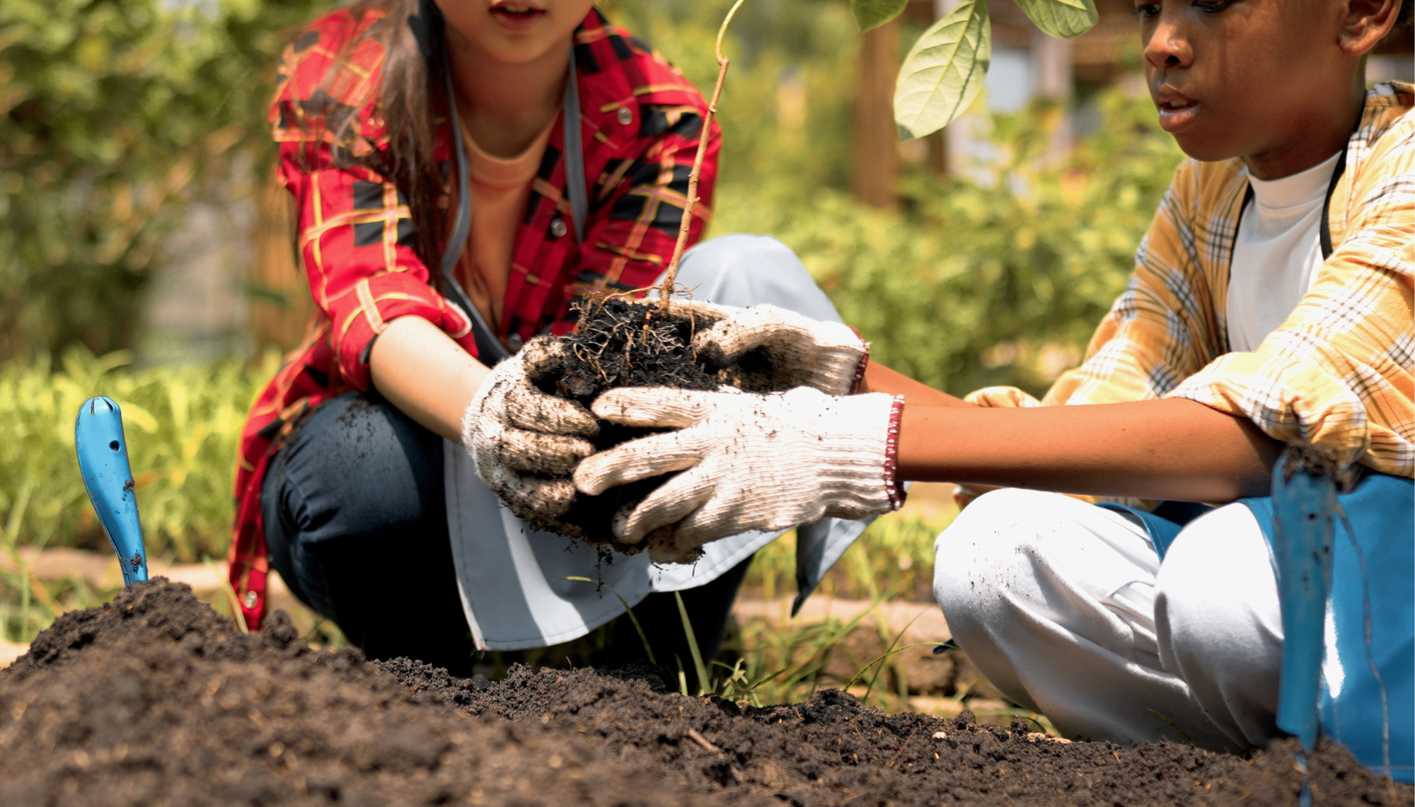 Two young children kneel in the earth wearing gardening gloves., They are planting a small tree.