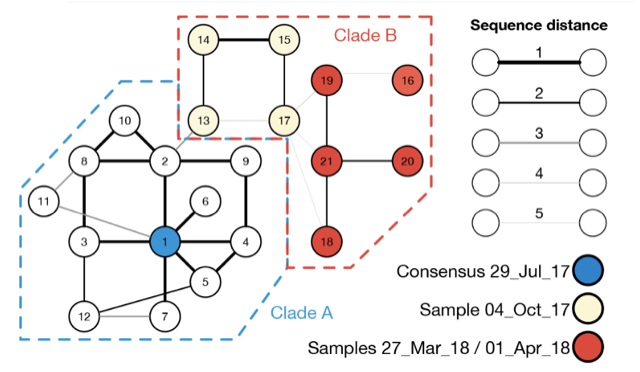 Graph showing virus direction