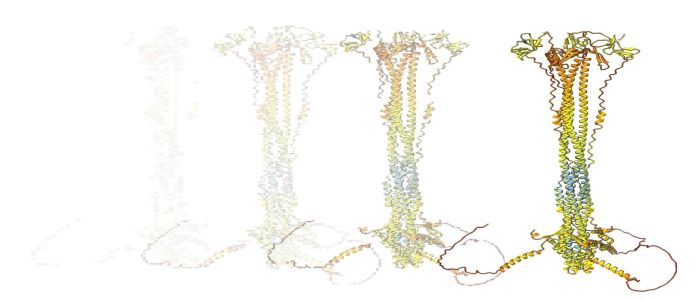 Image of a virus