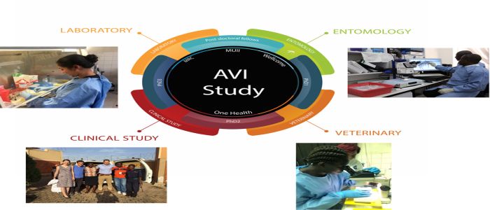 Image of virus with photographs