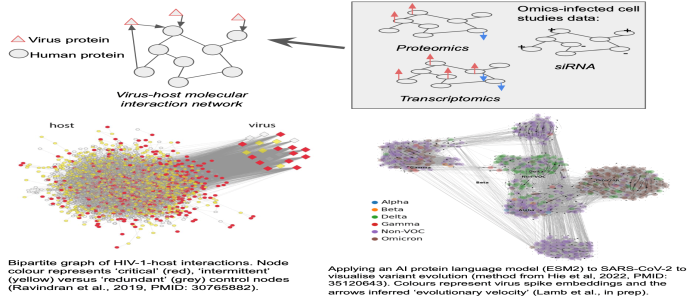 Diagram of a virus spread